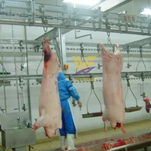 CE Certified Automatic Pig Slaughter Machine 304 Stainless Steel Slaughterhouse Equipment for Farm Small Slaughterhouse thumbnail-1