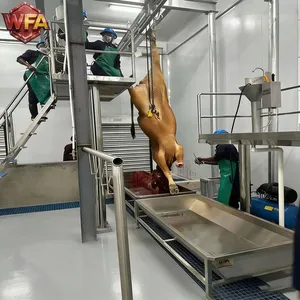 HACCP Cattle Slaughterhouse Equipment Project Beef Processing Line Cow Abattoir Factory Layout Design Machinery thumbnail-3