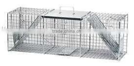 Raccoon Trap thumbnail-1