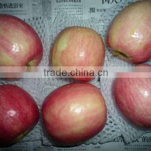 2014 New Crop Fuji Apple thumbnail-1