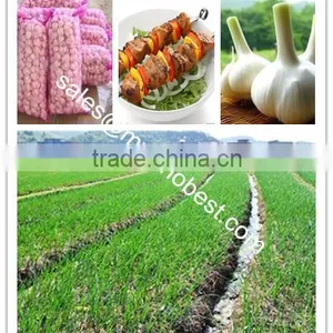 2016 Fresh Garlic,normal White Garlic, Pure White Garlic thumbnail-2