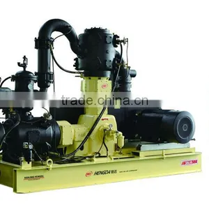HIGH EFFICIENT OIL-FREE HIGH PRESSURE AIR COMPRESSOR FOR PET BLOWING thumbnail-1
