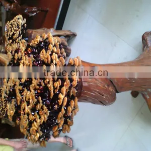 Natural LingZhi From Own Farm;For Show; for Eat; for Tea;Ganoderma Lucidum;China Traditional Medical; thumbnail-1