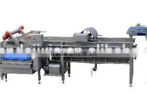 New Condition Vibration Outfeed Vegetable Washing Machine CD750 thumbnail-5