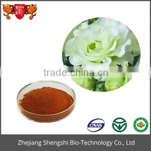 Organic High Quality Balloon Eustoma Flower Extract Root Extract Powder thumbnail-1