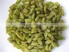 AD Dried Green Raisins With Good Quality for Sale thumbnail-6