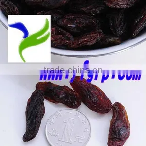 Dried Sultana Raisin/ Organic Black Currant thumbnail-1