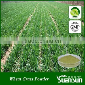 Health Care Green Food Wheat Grass Powder Wheat Grass Juice Powder thumbnail-1