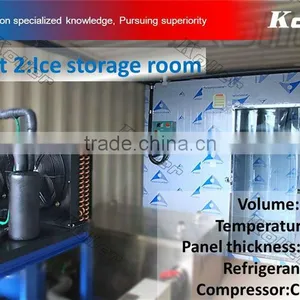 a Simple Ice Block Plant in Container With Cold Room thumbnail-3