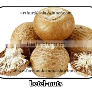 Areca Nuts Whole thumbnail-1