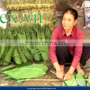 Fresh Big Size Bamboo Leaf thumbnail-2