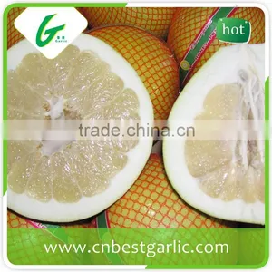 Fresh Sweet Honey Pomelo From China thumbnail-1