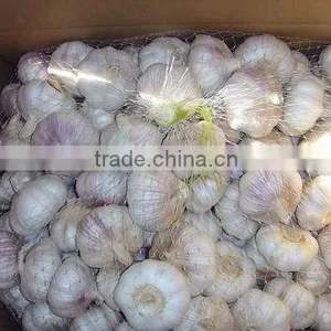 Shandong Natural Garlic thumbnail-1