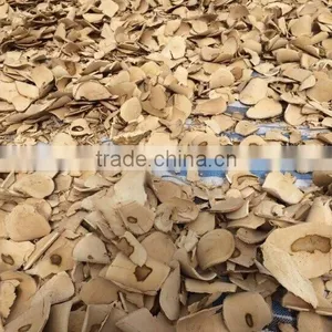 Tongkat Ali Root (Whole, Slice) thumbnail-2