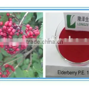 Elderberry Extract thumbnail-1