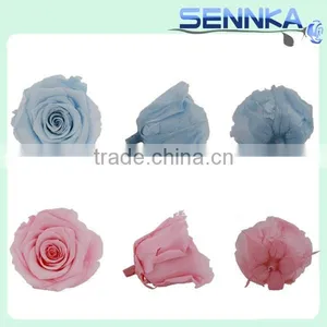 Fashionable Wholesale Preserved Flower Roses With Many Color thumbnail-6