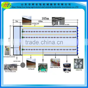 Poultry Automatic Pan Feeding System for Breeders thumbnail-4