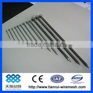 Common Nail/polished Nail/galvanized Nail thumbnail-1