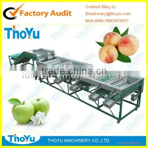Thoyu Brand Salable Automatic Peach Grading Machine by Size(SMS: 0086-15903675071) thumbnail-1