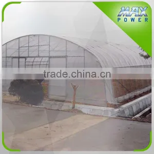 Watermelon Greenhouse With Plastic Covering thumbnail-1