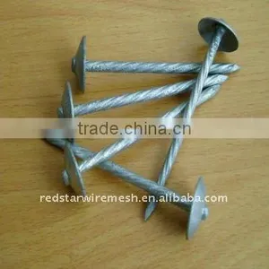 Twist Shank Galvanized Roofing Nails thumbnail-1