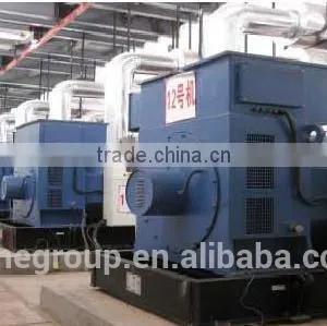 Diesel Engine Generating Set/ Diesel Engine Generator/ Diesel Generating Set thumbnail-2