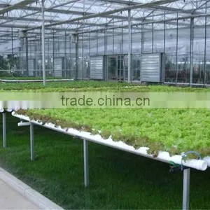 Agricultural Greenhouses Type Commercial Hydroponics Greenhouse thumbnail-1