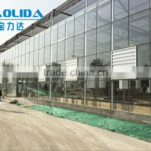 Multi-span Glass Tunnel Greenhouse thumbnail-6