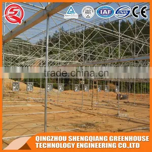Plastic Film Greenhouse for Vegetables Planting,flowers,culture thumbnail-4