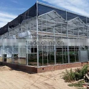 Agricultural Large Size/span Glass Greenhouses for Potatoes/tomatoes thumbnail-1