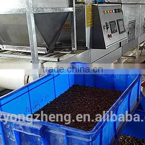 25mm 100% Pure Natural Freeze Dried Mealworms For Bird Food thumbnail-5