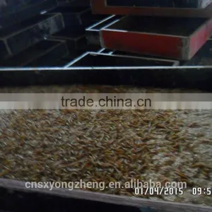 High Protein Dried Mealworms Wild Bird Food(freeze Dry) thumbnail-5