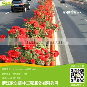 Cheap Plastic Planter Boxes,fiberglass Planter Box, Plastic Vegetable Planter Box thumbnail-1