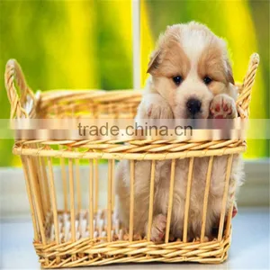 the Newest Wicker Dog Beds thumbnail-1