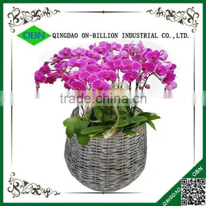 Cheap Cost Set of 2 Woven Wicker Flower Pots thumbnail-1