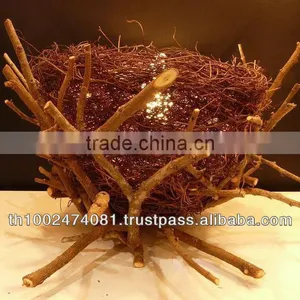 Bird Nest thumbnail-1