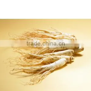 Chinese Ginseng Slimming Tea 2g *20 Bags /box Green Tea With Ginseng Slimming Tea Bags OEM to USA England Canada Australia thumbnail-5