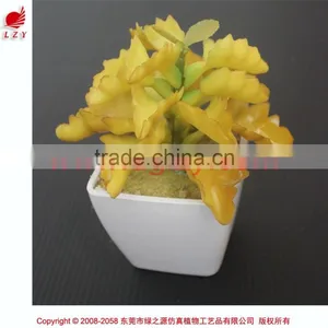 Cheap Wholesale Artificial Succulent Plants Tropical Plants thumbnail-4