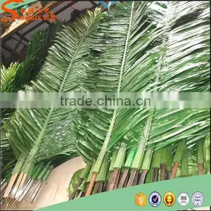 2015 Hot Sale Outdoor Large Fake Plastic Palm Tree Plants and Artificial Palm Tree Decorative thumbnail-5