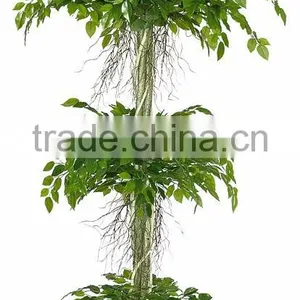 Songtao Company High Quality Artificial Plants Potted Plant Bonsai Tree 185cm Plastic Lucky Tree thumbnail-5