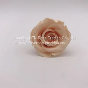 Preserved Rose Flowers for Wedding Decoration Flower Arrangement thumbnail-1