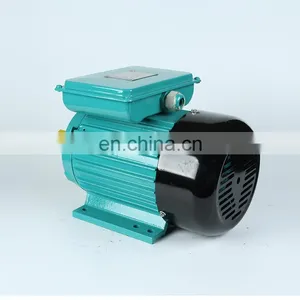 YL Series Two-value Capacitor Monophase Motor 110v/220v 60hz 2.2kw 3400rpm 1700rpm Metal Box in Peru Market Electric Motor thumbnail-5