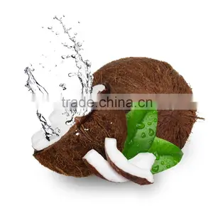 Good Price Fresh Coconut for Export From Vietnam/ Fresh Young Coconut Meat thumbnail-2
