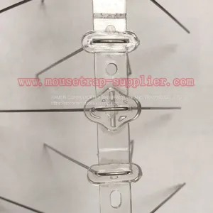 High-quality UV Treatment Stainless Steel Anti Bird Spikes Pigeons Cat Control thumbnail-3