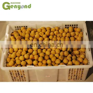 GYC Longan Nucleus Stone Core Pit Seed Remover Removing Machine thumbnail-4