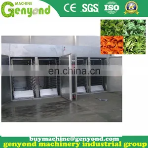 Factory Price Vegetables Processing Line Vegetables Production Line in Fruit and Vegetable Processing Equipment thumbnail-2