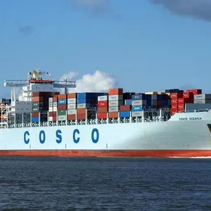 Sea, Air Services From China to United Arab Emirates Amazon FBA Service DDP/DDU thumbnail-3