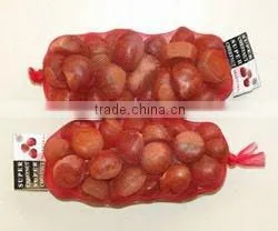 Chinese Fresh Chestnut thumbnail-1