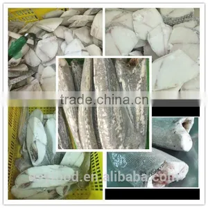 High Quality Frozen Oil Fish Steak thumbnail-1