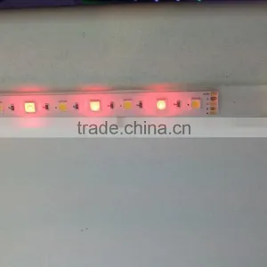 CE ROHS SMD5050 60leds/m RGB+W 12 Volt Led Lighting thumbnail-1